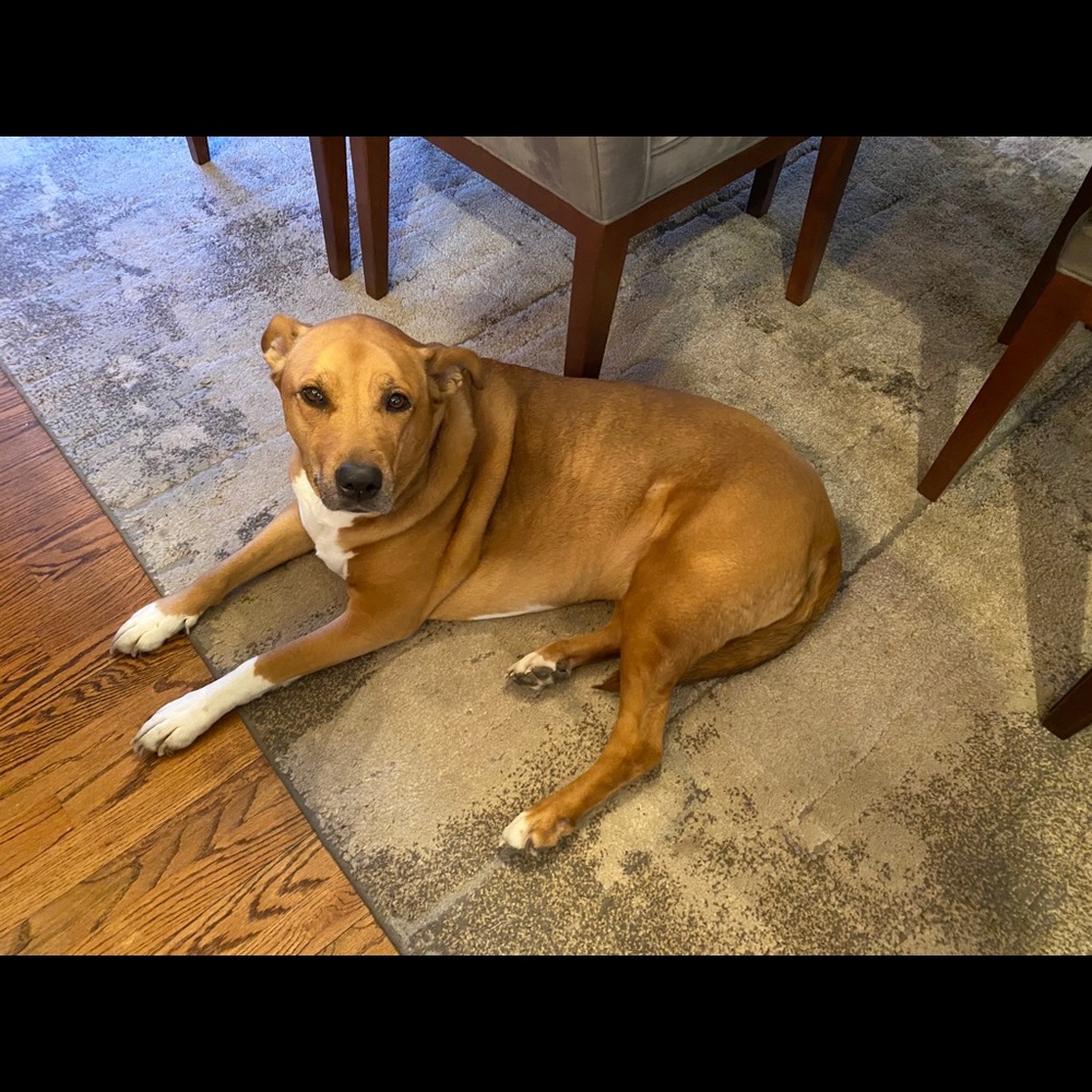 Meet your Posher, Joseph